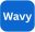 Wavy Driver Onboarding